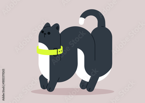 A funny cat with a flexible curved body moves playfully, showcasing its fancy demeanor, The soft, muted background enhances the cat's striking features and lively personality