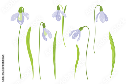 Purple Snowdrops set, Stylised Floral Illustrations for Print. Snowdrop Cluster, Purple Floral Vector. Botanical Elements Set