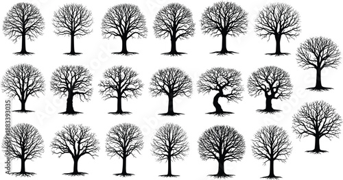 Black tree silhouette set featuring bare winter branches, detailed roots, and various trunk shapes for forest landscape design, vector