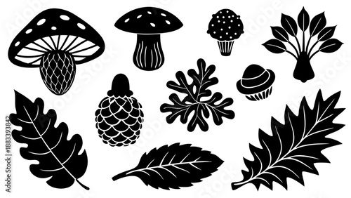 Black and white illustration of various forest elements Vector