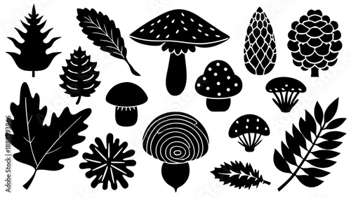 Collection of forest silhouettes and mushrooms Vector