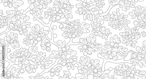 Minimalist seamless pattern featuring line drawings of fig tree branches with fruit and leaves on a clean white background design.