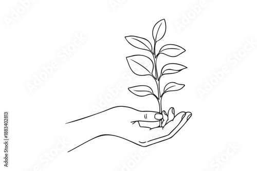 Hand holding small plant in minimalist line art with white background for eco-friendly branding
