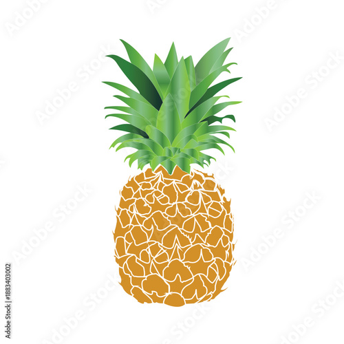 Pineapple Icon, Free Pineapple Victor, Free Pineapple Vector coloring