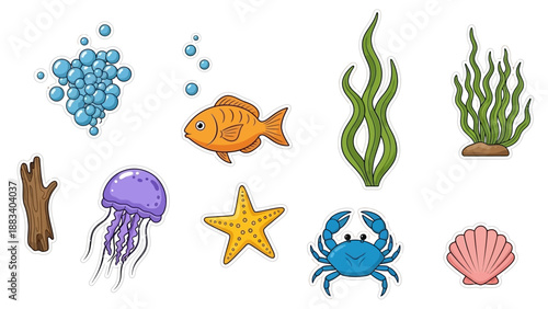 Underwater Scene Featuring Sea Creatures and Ocean Plants from an Overhead Viewpoint