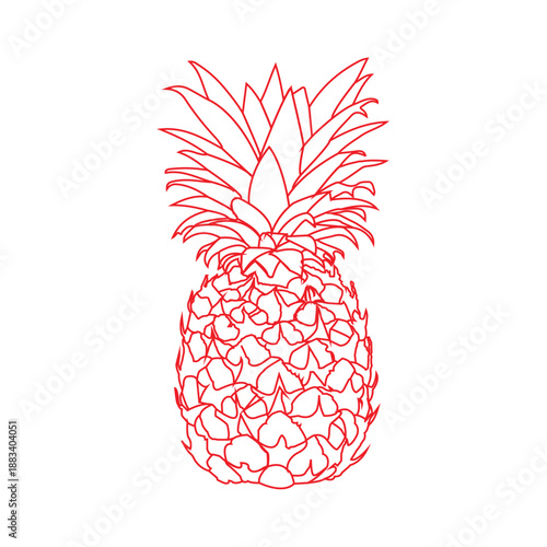 Pineapple Icon, Free Pineapple Victor, Free Pineapple Vector-2
