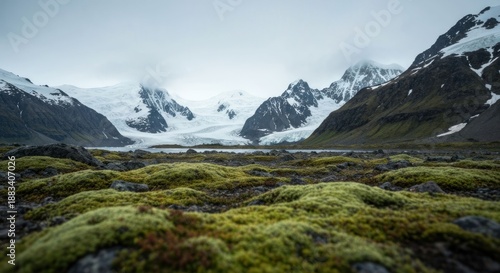 Wallpaper Mural Rugged landscape with mossy foreground and snowy mountains under a cloudy sky Torontodigital.ca