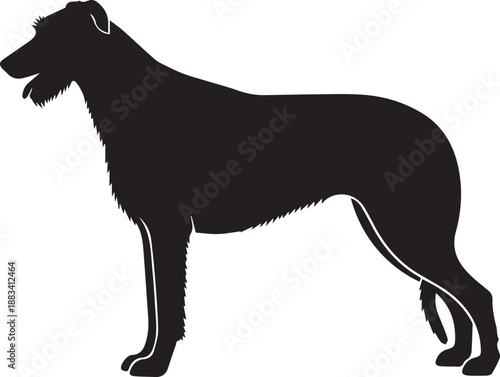 Silhouette of a standing irish wolfhound dog with its mouth open