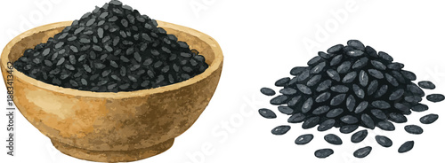 Vector watercolor illustrations of sesame seeds