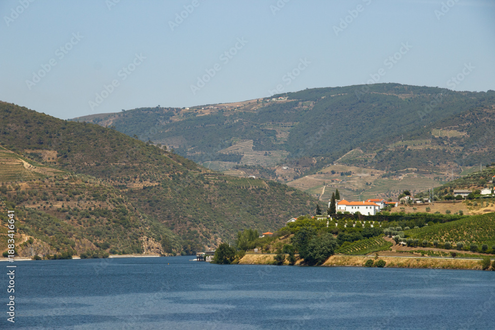 Fototapeta premium Douro river among the vineyards on the hills of Douro Valley, Portugal