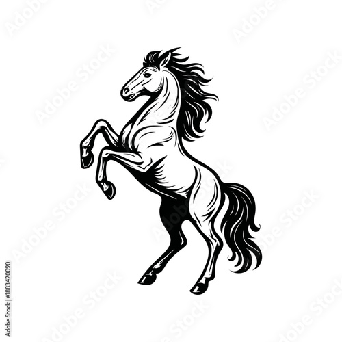 Majestic rearing horse black and white vector illustration for powerful design