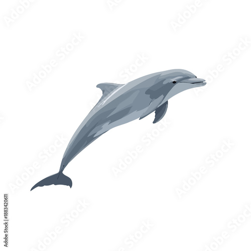 The Dolphin Design Very Cool 