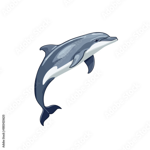 The Dolphin Design Very Cool 