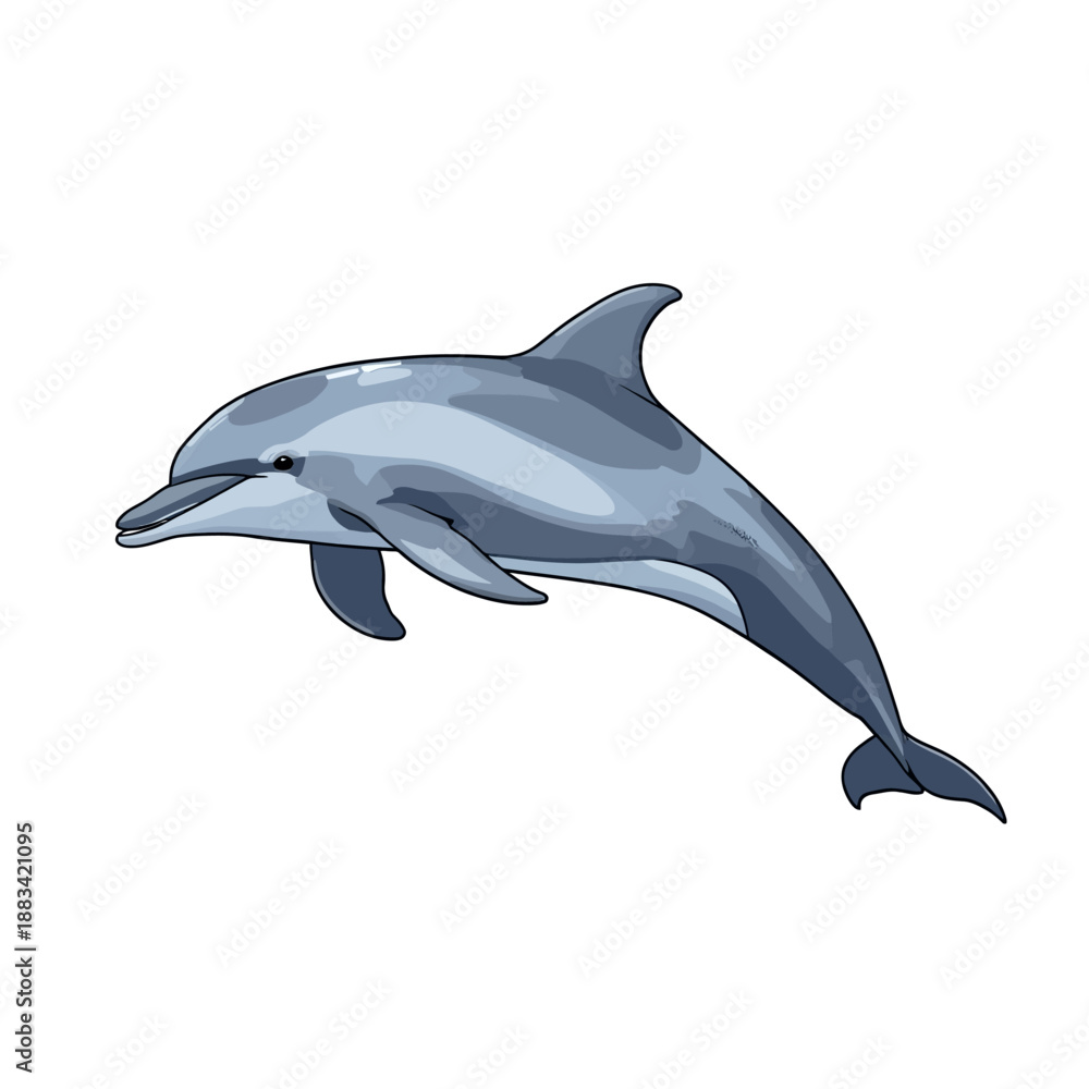 Obraz premium The Dolphin Design Very Cool 