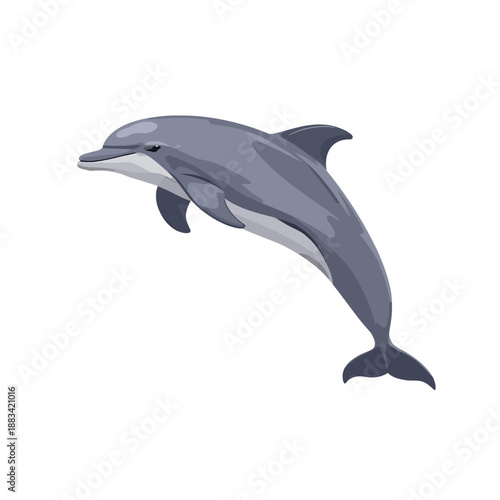 The Dolphin Design Very Cool 