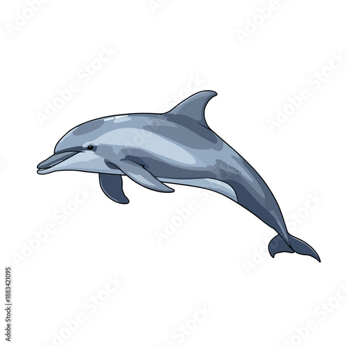 The Dolphin Design Very Cool 
