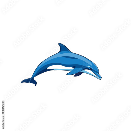 The Dolphin Design Very Cool 