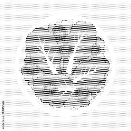 Salad Bowl Healthy Food Nutrition Vegetable Halftone Vector