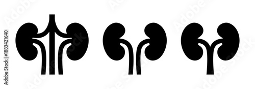 Kidneys icon. Vector flat black icon isolated on white background.