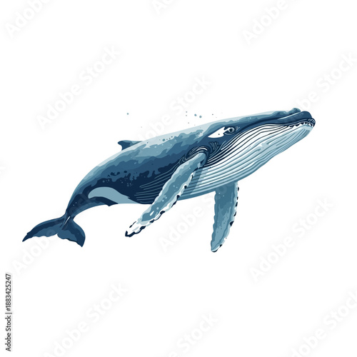 Whale Design Very Cool Animal