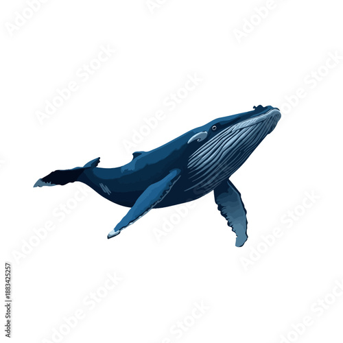 Whale Design Very Cool Animal
