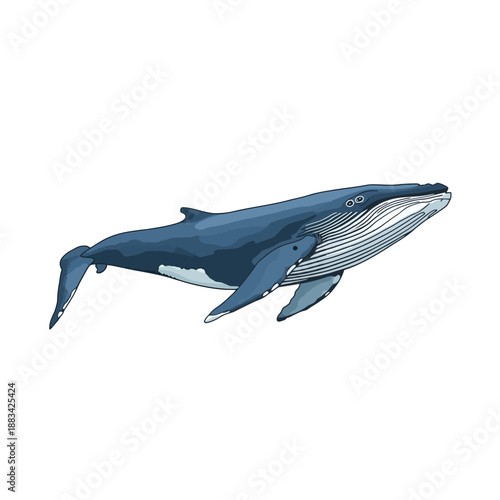 Whale Design Very Cool Animal