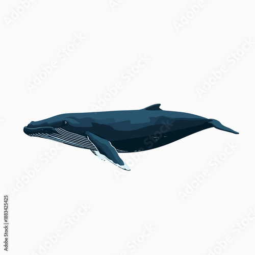 Whale Design Very Cool Animal