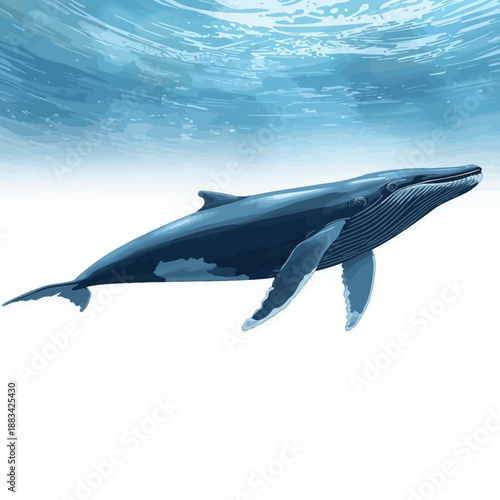 Whale Design Very Cool Animal