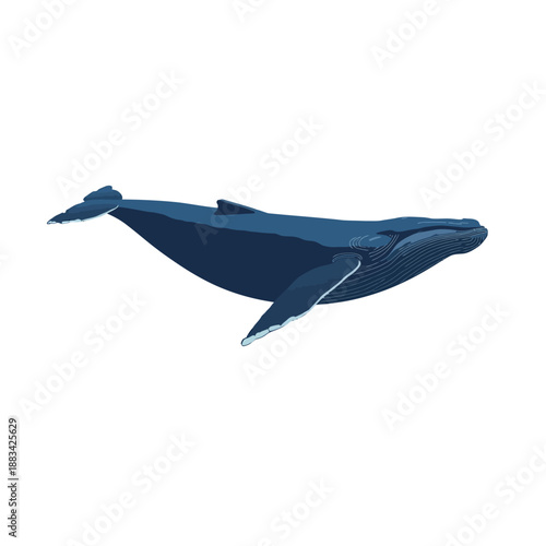 Whale Design Very Cool Animal