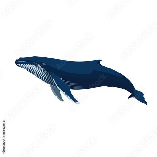 Whale Design Very Cool Animal