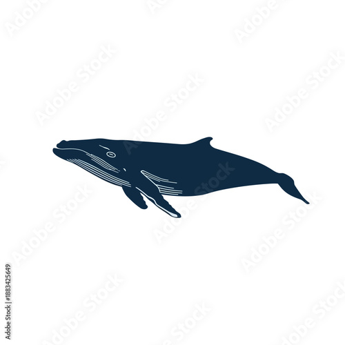 Whale Design Very Cool Animal