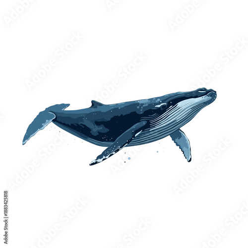 Whale Design Very Cool Animal
