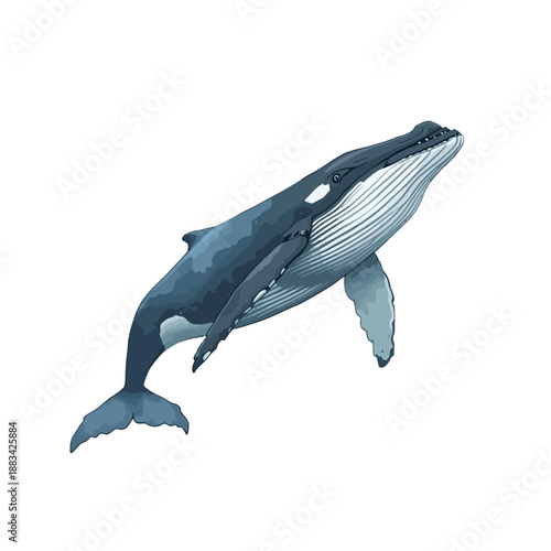 Whale Design Very Cool Animal