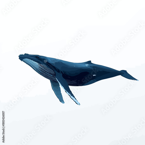 Whale Design Very Cool Animal