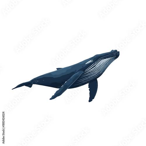 Whale Design Very Cool Animal