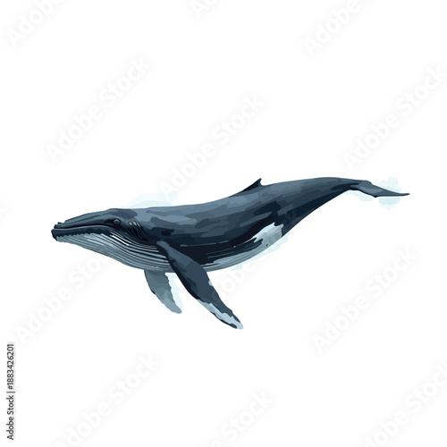 Whale Design Very Cool Animal