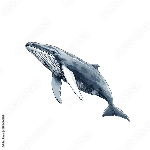 Whale Design Very Cool Animal