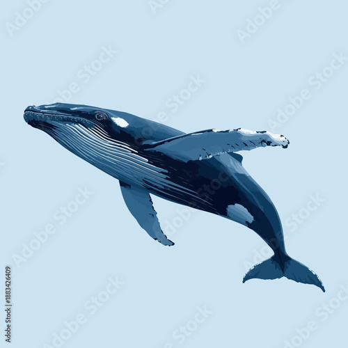 Whale Design Very Cool Animal