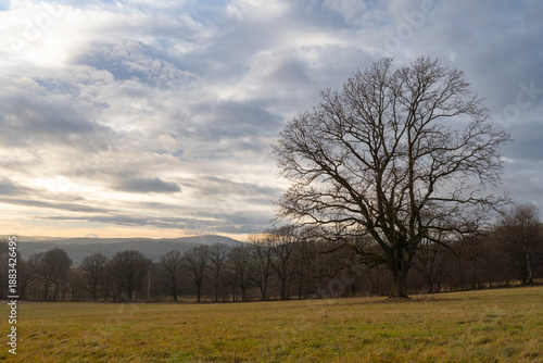 Blick auf den Valtenberg von Weifa in der Oberlausitz aus