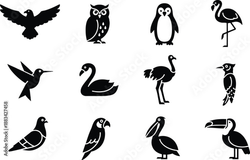 A collection of various bird species silhouettes and icons on a white background