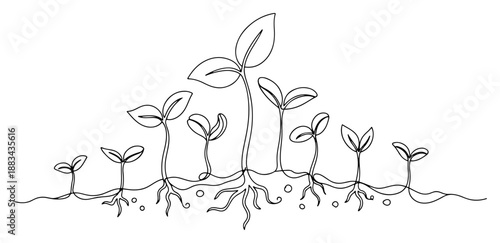 Plant Growth Stages with Roots Continuous Line Art. Seedling Life Cycle Timeline from Sprout to Leaf Sketch.