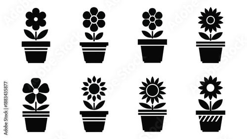 Collection of potted flowers isolated on white background, Vector