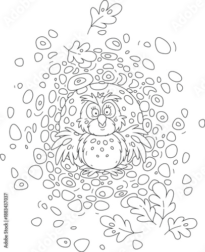 Cartoony wise owl with surprised large round eyes peeking out of its cozy hollow in an old oak tree in a thicket of a fairytale forest, black and white vector cartoon illustration for a coloring book