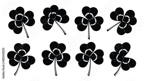 Eight lucky shamrocks isolated on white background, Vector