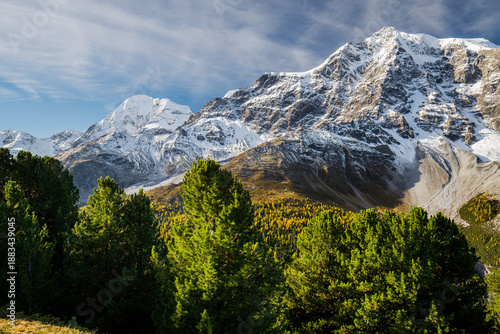 Königspitze, Ortler, Suldental, Sulden, Nationalpark Stilfser Joch, Trentino - Alto Adige, Italien