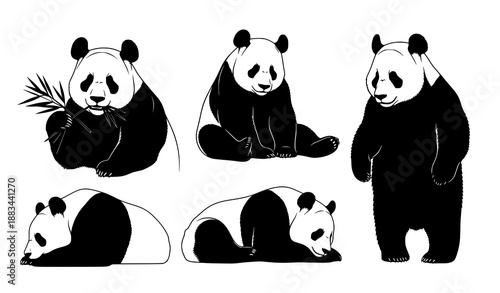 Realistic panda silhouette vector pack with wildlife animal poses isolated on white