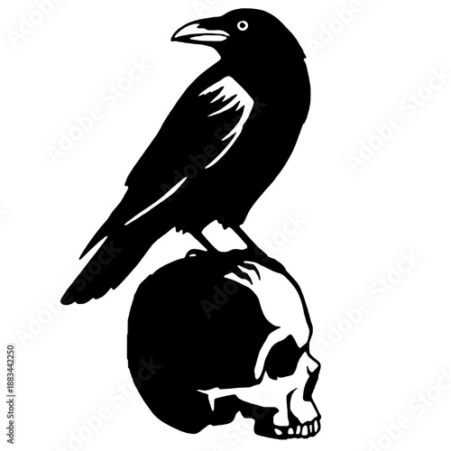 Silhouette of the bird of death