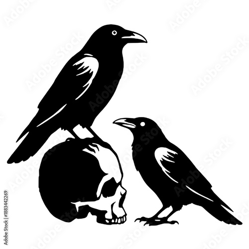 Silhouette of the bird of death