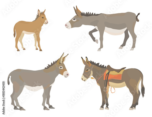 Funny cartoon donkey set. Vector hand drawn farm animals illustration isolated on white background.
