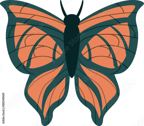 Colorful butterfly with orange wings and green outline, representing beauty, nature, and wildlife